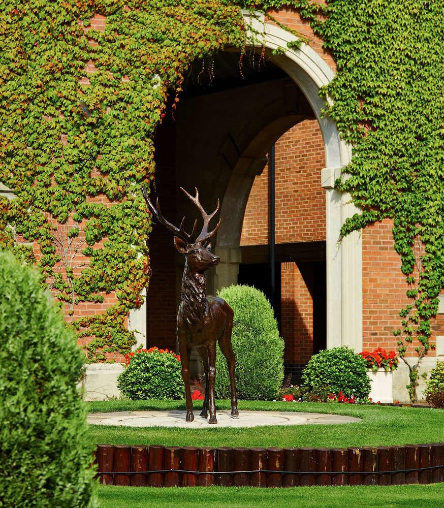 Forest Of Arden Hotel And Country Club Meriden  Exteriér fotografie